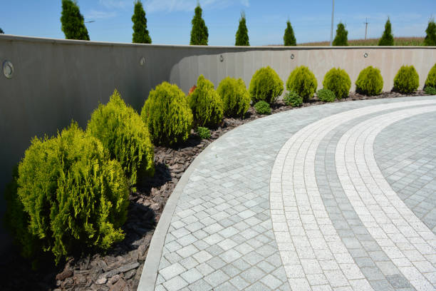 Reasons to Select Us for Your Driveway Paving Requirements in South Taft, CA